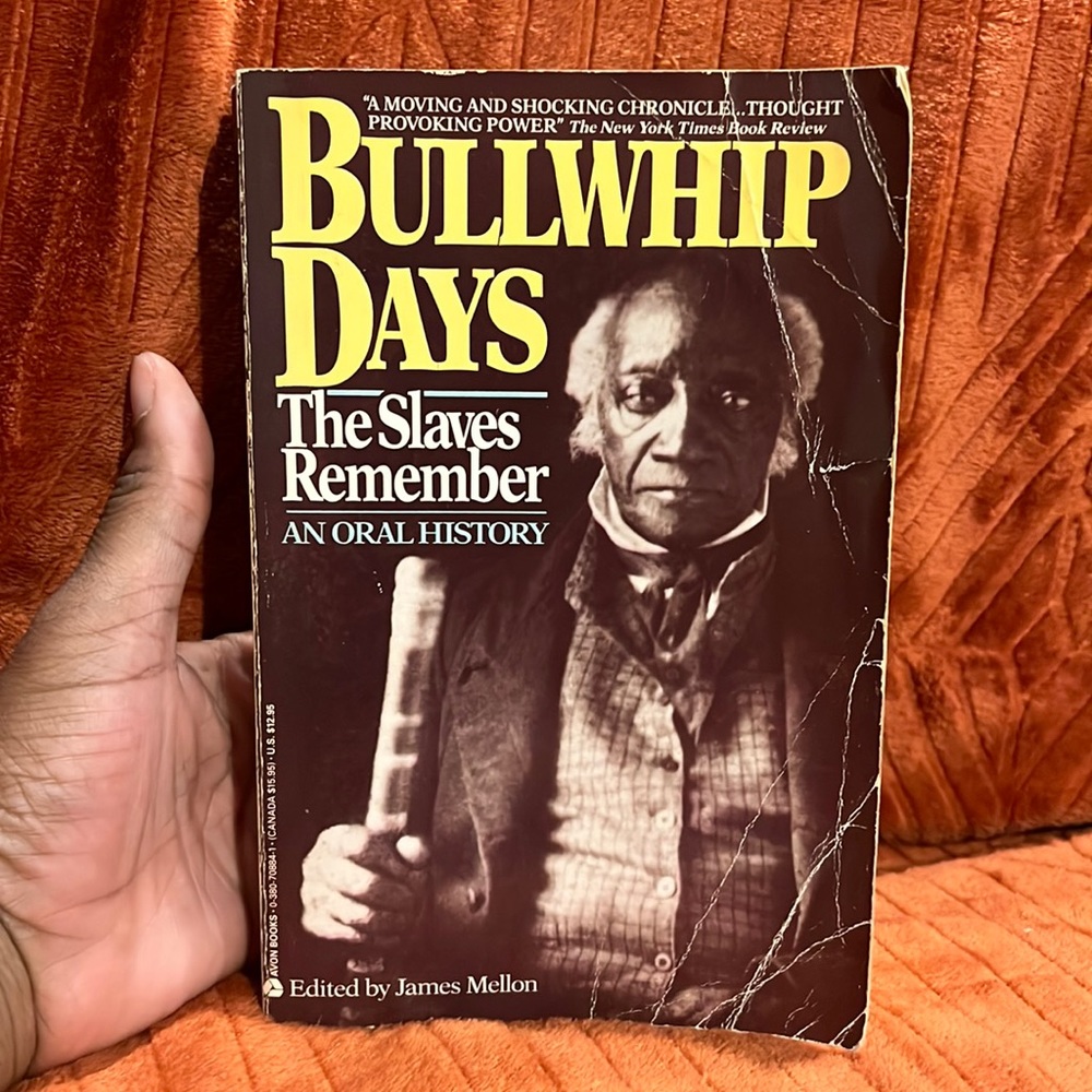 Bullwhip Days ( The slaves remember)